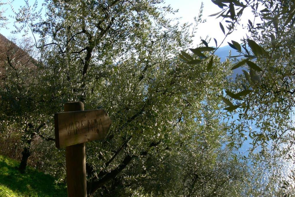 Luci Sul Lago - A Real Paradise Perledo Exterior photo